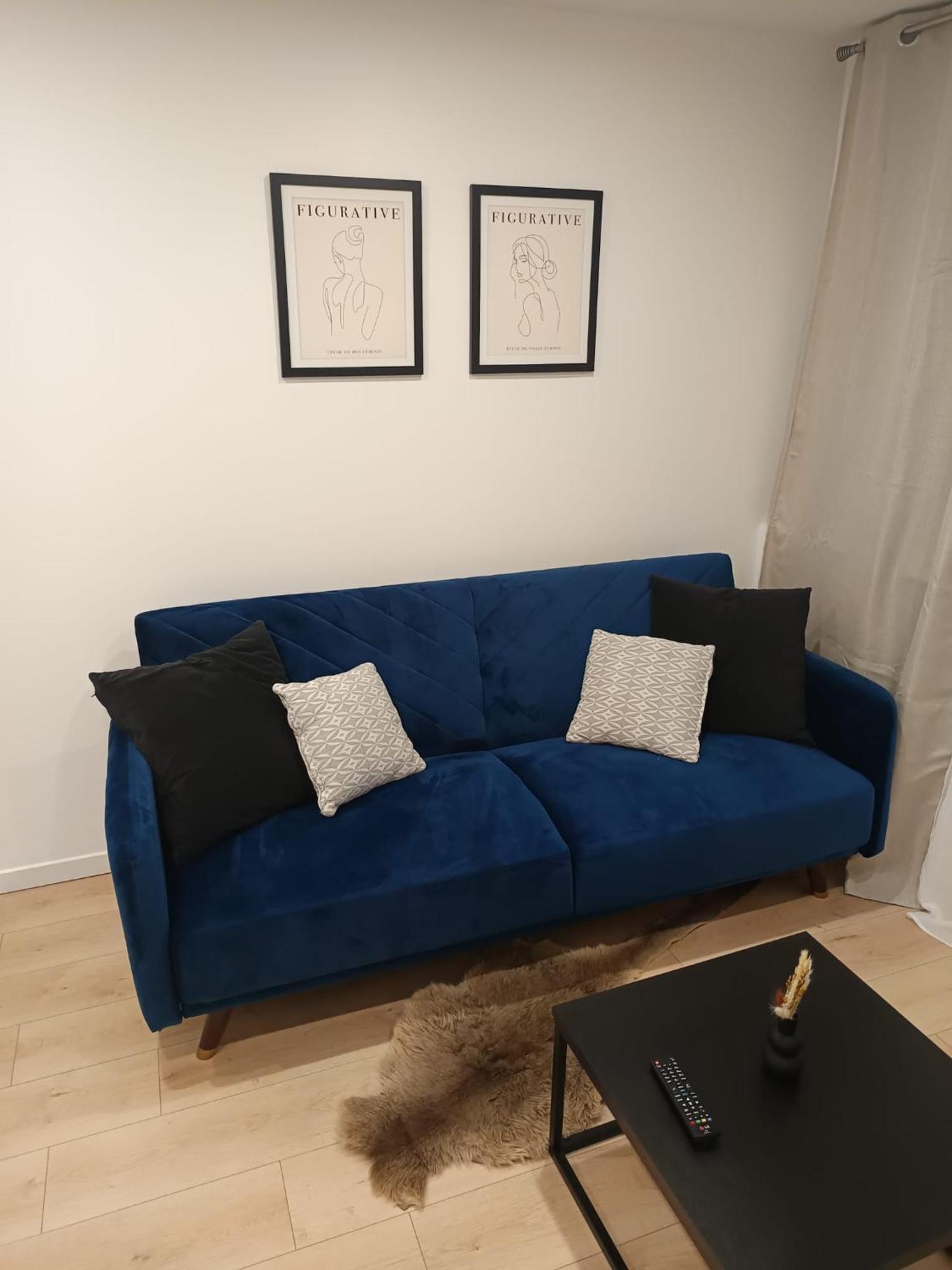 Superbe Appartement ! Saint-Etienne  Esterno foto
